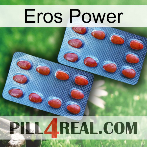 Eros Power 05.jpg